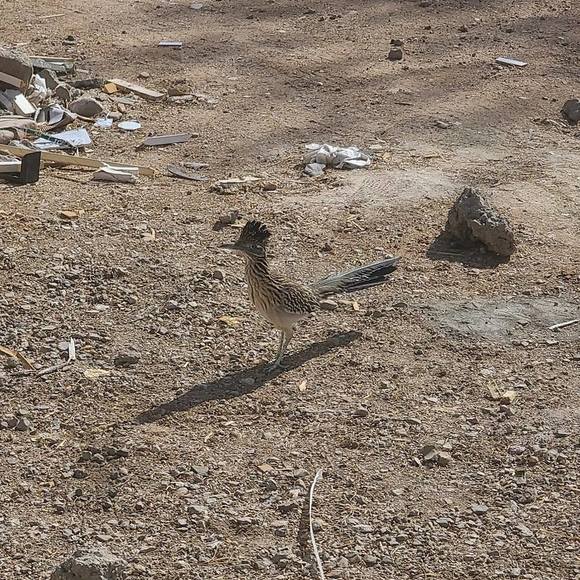 Meet your Posher, Miguel - Picture 1 of 1